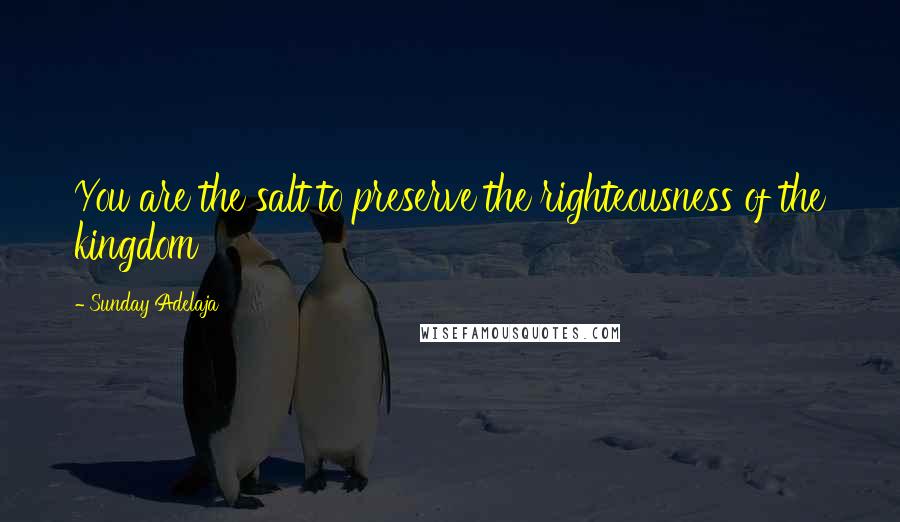 Sunday Adelaja Quotes: You are the salt to preserve the righteousness of the kingdom
