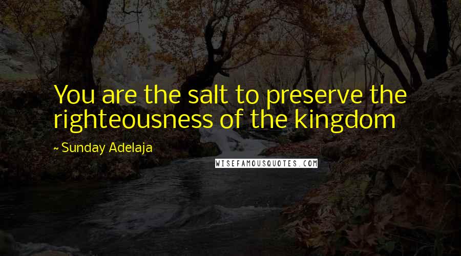 Sunday Adelaja Quotes: You are the salt to preserve the righteousness of the kingdom