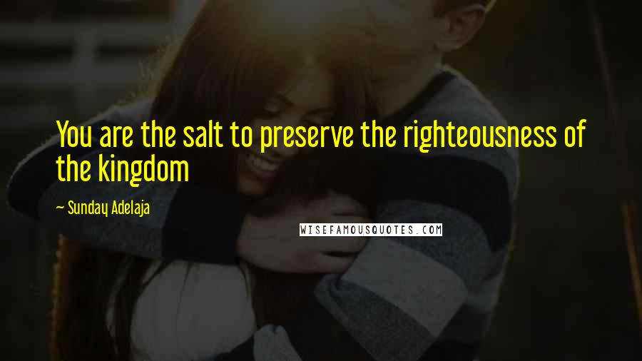 Sunday Adelaja Quotes: You are the salt to preserve the righteousness of the kingdom