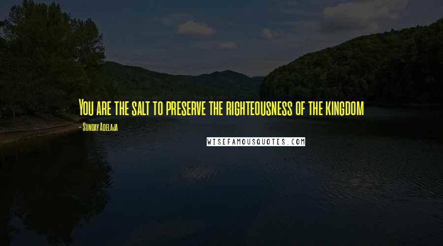 Sunday Adelaja Quotes: You are the salt to preserve the righteousness of the kingdom