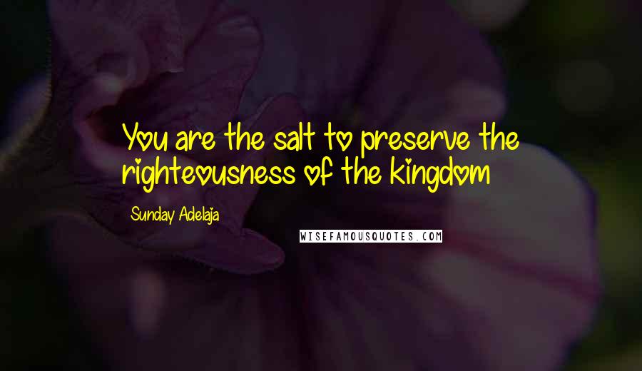 Sunday Adelaja Quotes: You are the salt to preserve the righteousness of the kingdom