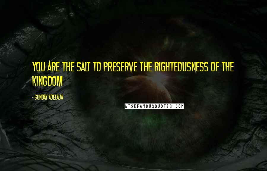 Sunday Adelaja Quotes: You are the salt to preserve the righteousness of the kingdom
