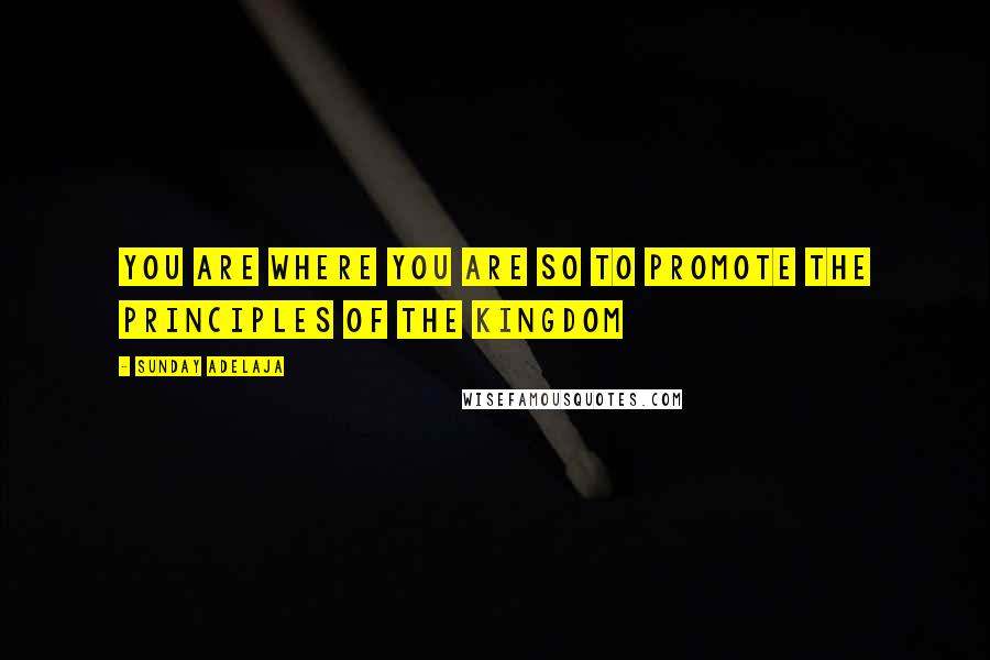 Sunday Adelaja Quotes: You Are Where You Are So To Promote The Principles Of The Kingdom