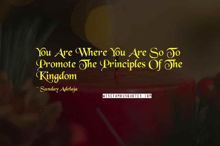 Sunday Adelaja Quotes: You Are Where You Are So To Promote The Principles Of The Kingdom