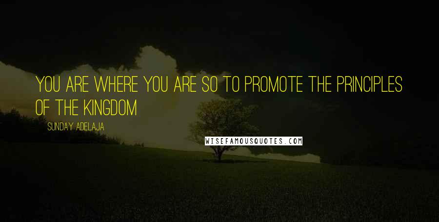 Sunday Adelaja Quotes: You Are Where You Are So To Promote The Principles Of The Kingdom