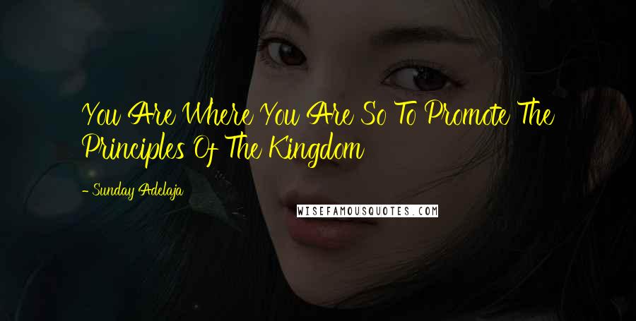 Sunday Adelaja Quotes: You Are Where You Are So To Promote The Principles Of The Kingdom