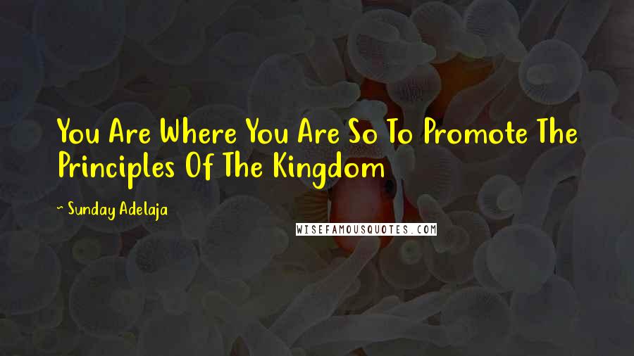 Sunday Adelaja Quotes: You Are Where You Are So To Promote The Principles Of The Kingdom