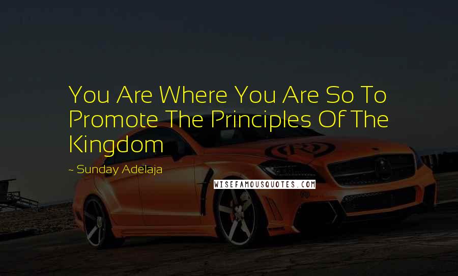 Sunday Adelaja Quotes: You Are Where You Are So To Promote The Principles Of The Kingdom