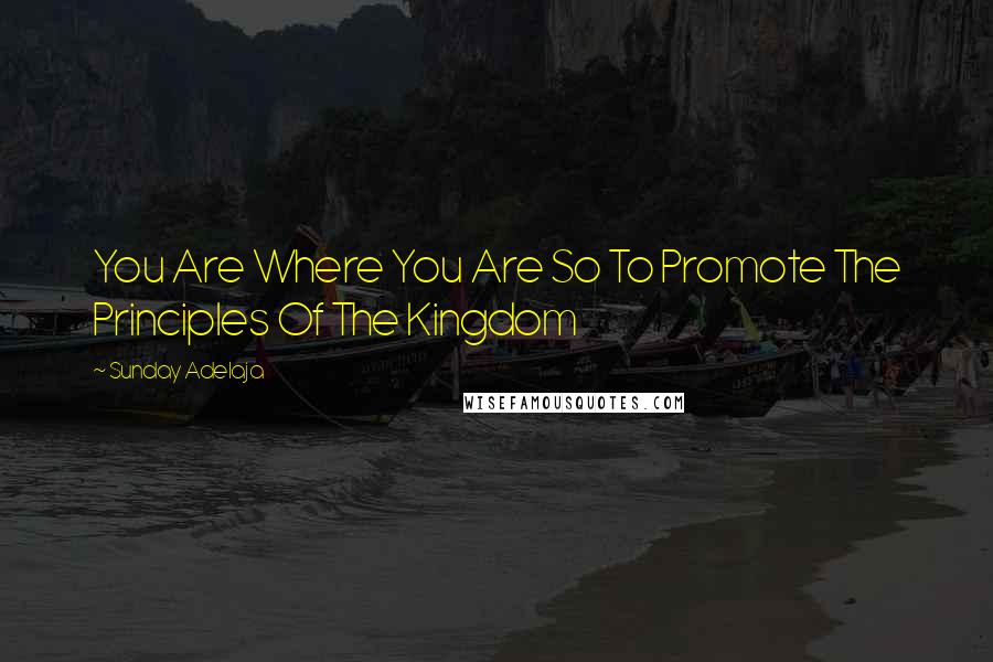 Sunday Adelaja Quotes: You Are Where You Are So To Promote The Principles Of The Kingdom
