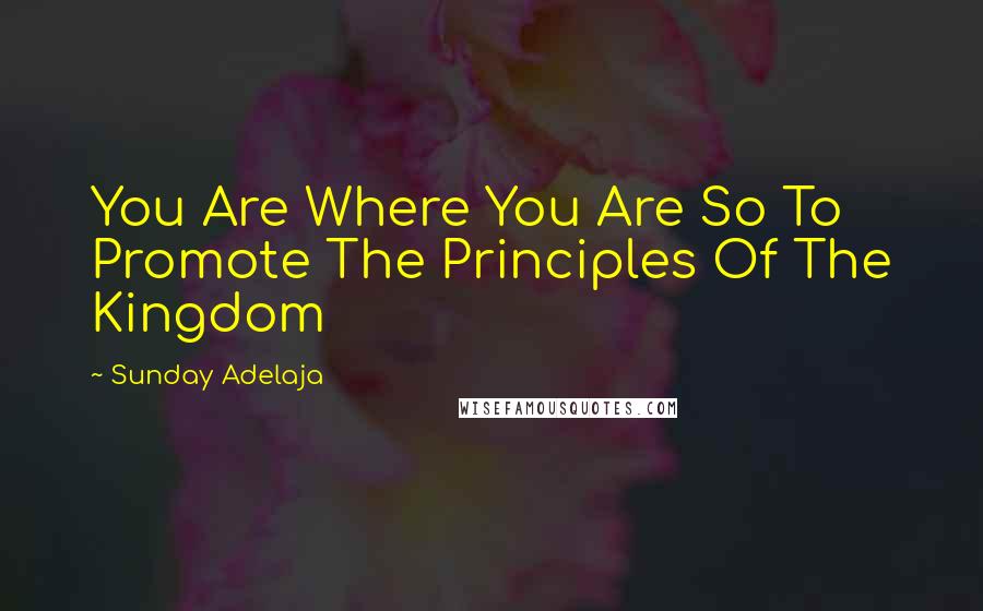 Sunday Adelaja Quotes: You Are Where You Are So To Promote The Principles Of The Kingdom