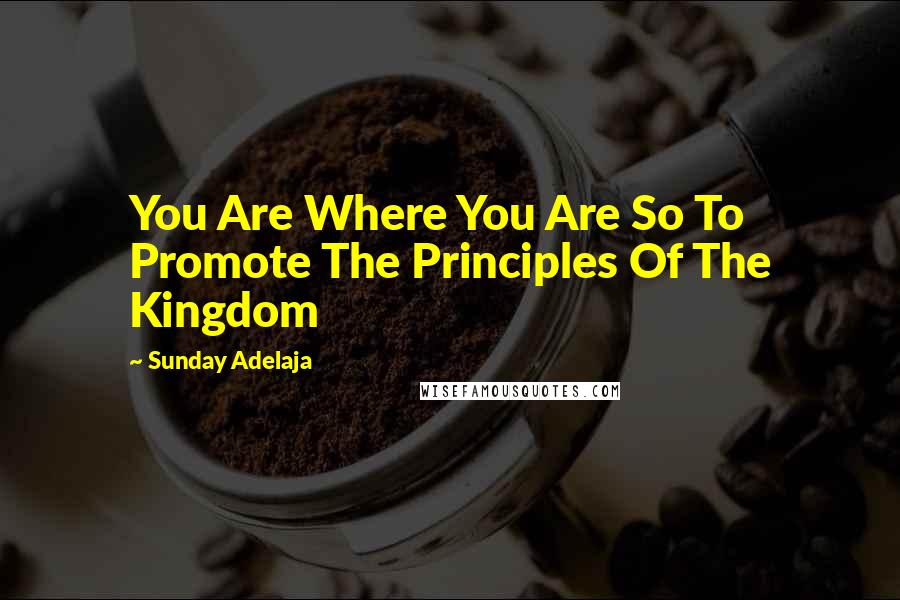 Sunday Adelaja Quotes: You Are Where You Are So To Promote The Principles Of The Kingdom