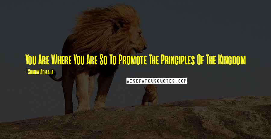 Sunday Adelaja Quotes: You Are Where You Are So To Promote The Principles Of The Kingdom