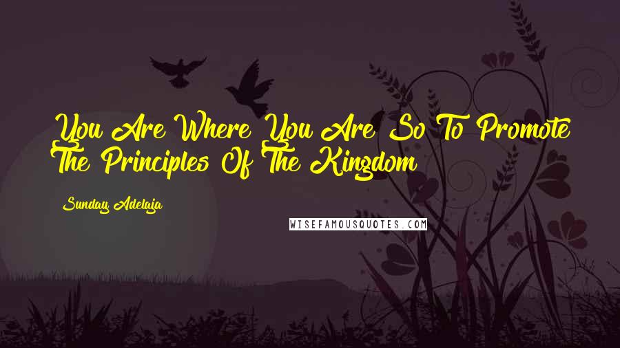 Sunday Adelaja Quotes: You Are Where You Are So To Promote The Principles Of The Kingdom