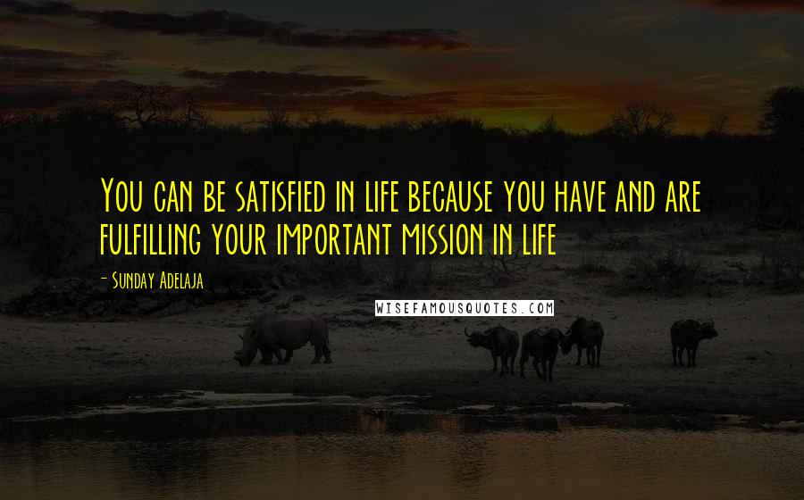 Sunday Adelaja Quotes: You can be satisfied in life because you have and are fulfilling your important mission in life