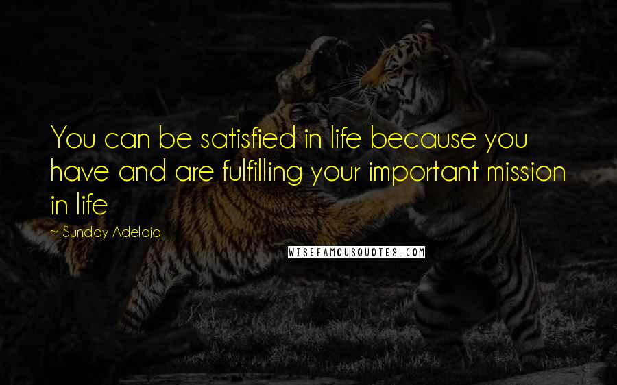 Sunday Adelaja Quotes: You can be satisfied in life because you have and are fulfilling your important mission in life
