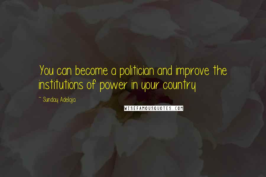 Sunday Adelaja Quotes: You can become a politician and improve the institutions of power in your country