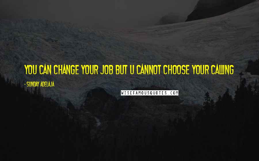 Sunday Adelaja Quotes: You can change your Job but u cannot choose your calling