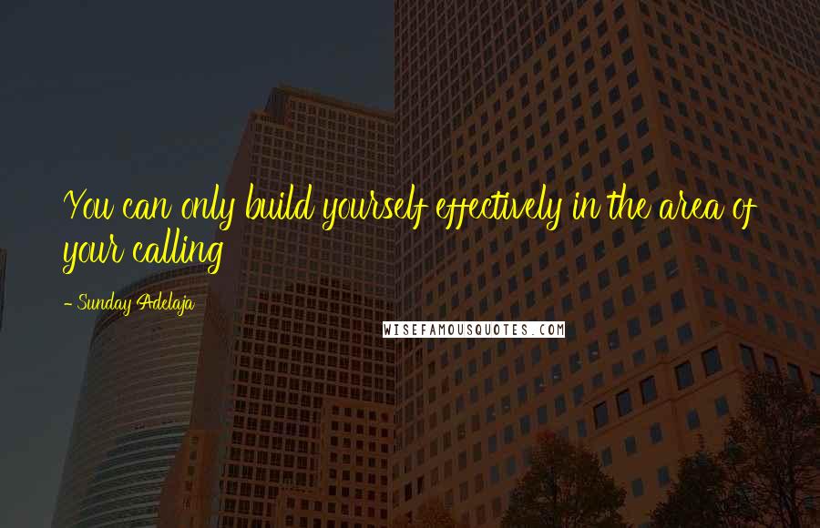 Sunday Adelaja Quotes: You can only build yourself effectively in the area of your calling