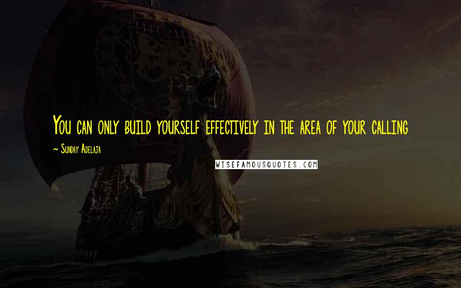 Sunday Adelaja Quotes: You can only build yourself effectively in the area of your calling