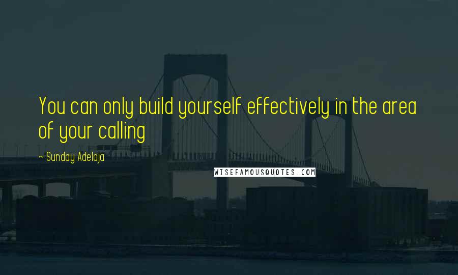 Sunday Adelaja Quotes: You can only build yourself effectively in the area of your calling