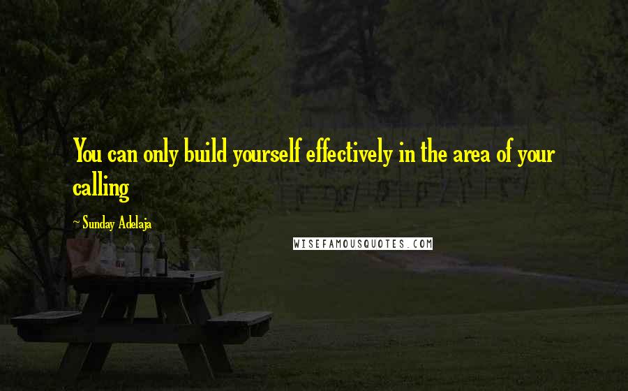 Sunday Adelaja Quotes: You can only build yourself effectively in the area of your calling