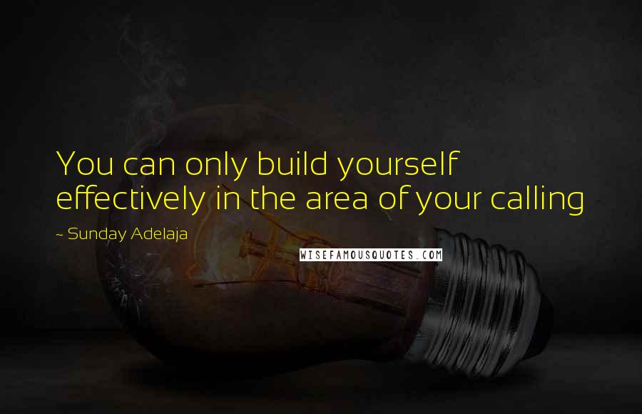 Sunday Adelaja Quotes: You can only build yourself effectively in the area of your calling
