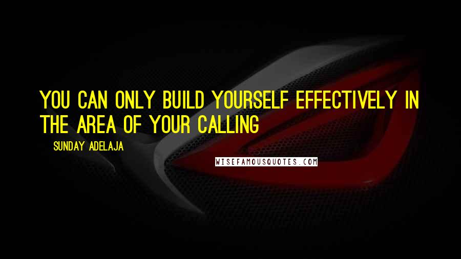 Sunday Adelaja Quotes: You can only build yourself effectively in the area of your calling