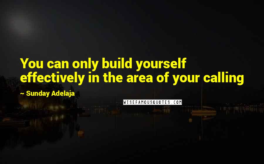 Sunday Adelaja Quotes: You can only build yourself effectively in the area of your calling