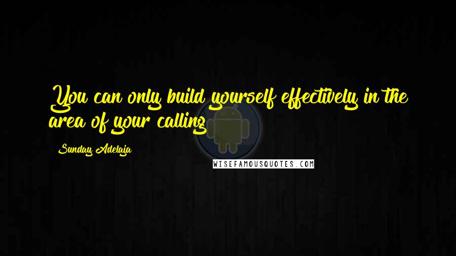 Sunday Adelaja Quotes: You can only build yourself effectively in the area of your calling