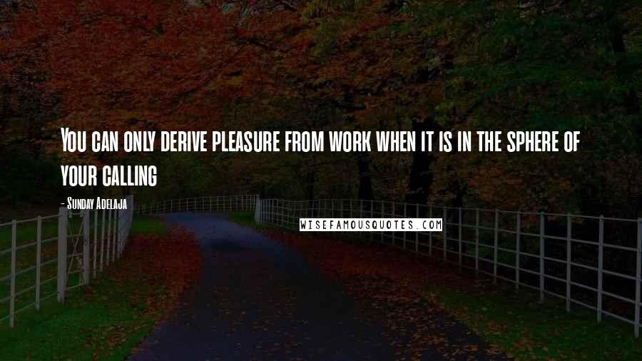 Sunday Adelaja Quotes: You can only derive pleasure from work when it is in the sphere of your calling