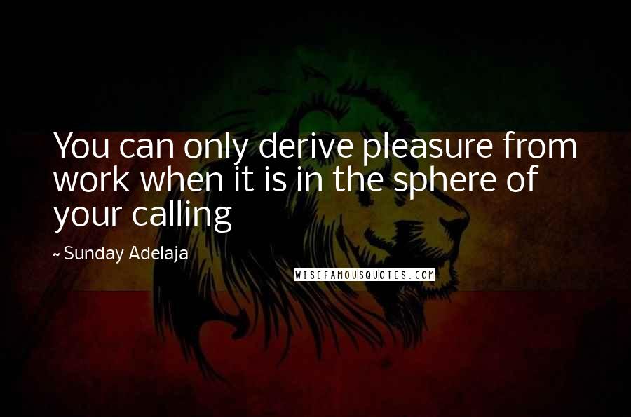 Sunday Adelaja Quotes: You can only derive pleasure from work when it is in the sphere of your calling