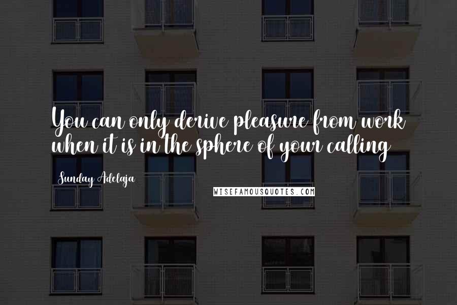 Sunday Adelaja Quotes: You can only derive pleasure from work when it is in the sphere of your calling