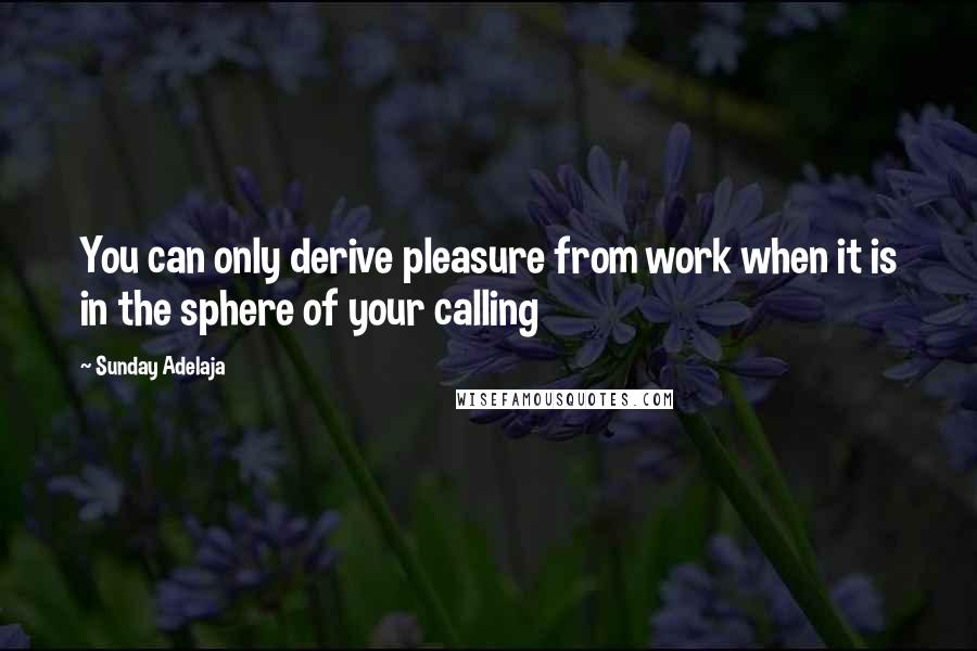 Sunday Adelaja Quotes: You can only derive pleasure from work when it is in the sphere of your calling