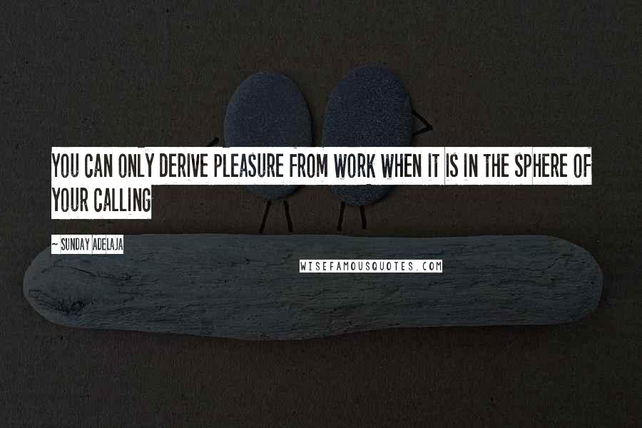 Sunday Adelaja Quotes: You can only derive pleasure from work when it is in the sphere of your calling