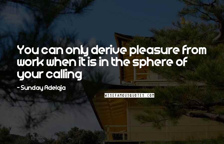 Sunday Adelaja Quotes: You can only derive pleasure from work when it is in the sphere of your calling