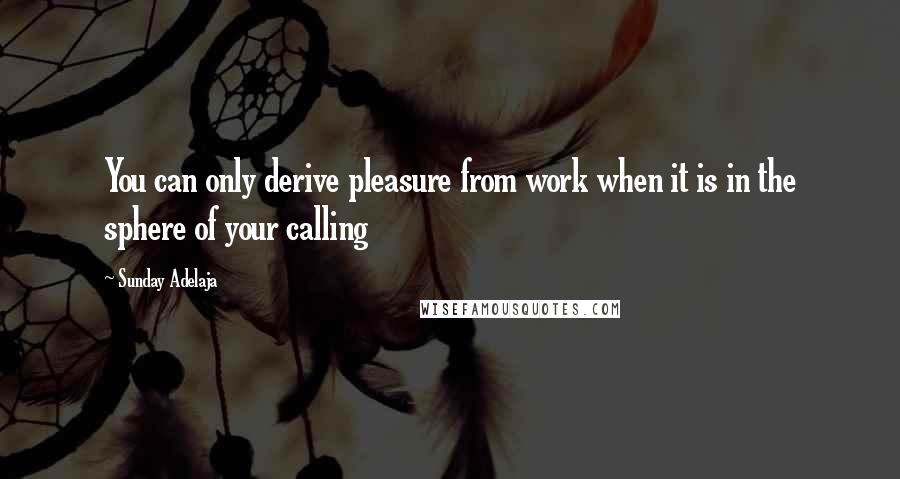 Sunday Adelaja Quotes: You can only derive pleasure from work when it is in the sphere of your calling