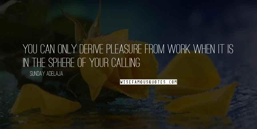 Sunday Adelaja Quotes: You can only derive pleasure from work when it is in the sphere of your calling