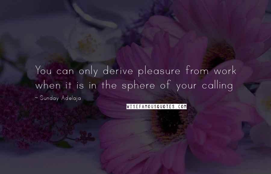 Sunday Adelaja Quotes: You can only derive pleasure from work when it is in the sphere of your calling