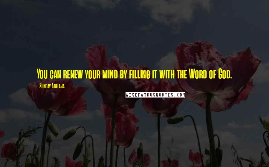 Sunday Adelaja Quotes: You can renew your mind by filling it with the Word of God.