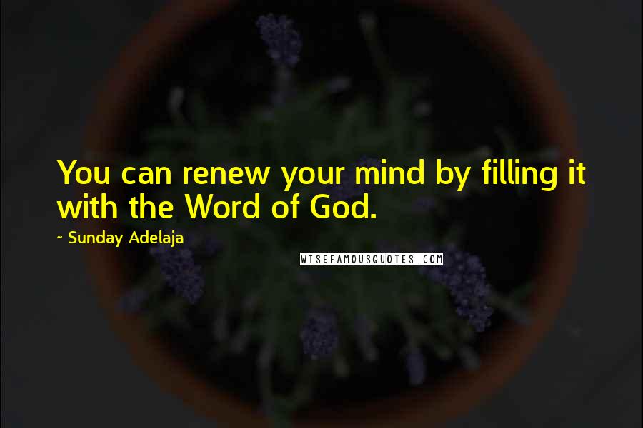Sunday Adelaja Quotes: You can renew your mind by filling it with the Word of God.