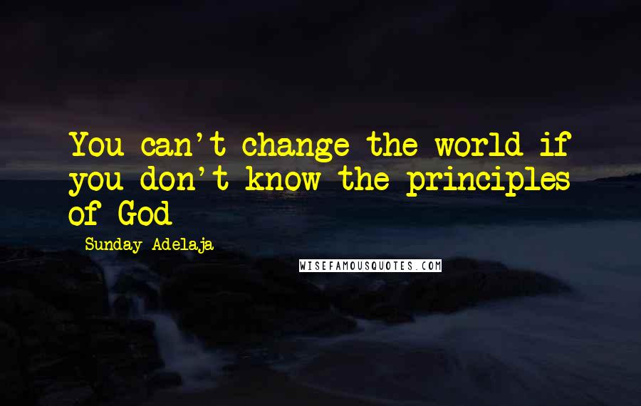 Sunday Adelaja Quotes: You can't change the world if you don't know the principles of God