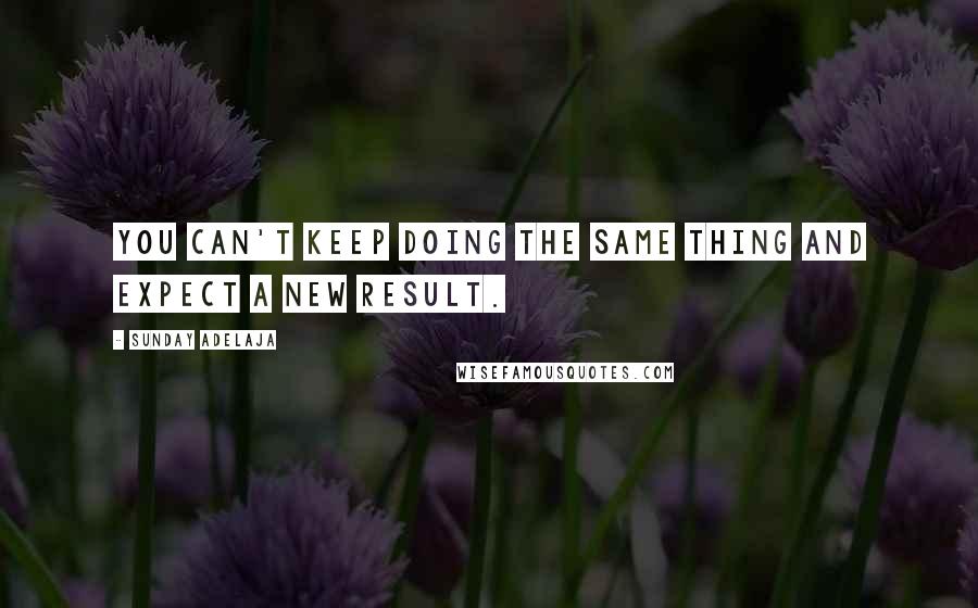 Sunday Adelaja Quotes: You can't keep doing the same thing and expect a new result.