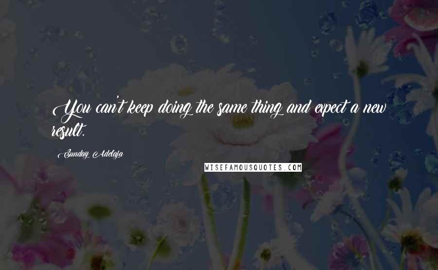 Sunday Adelaja Quotes: You can't keep doing the same thing and expect a new result.