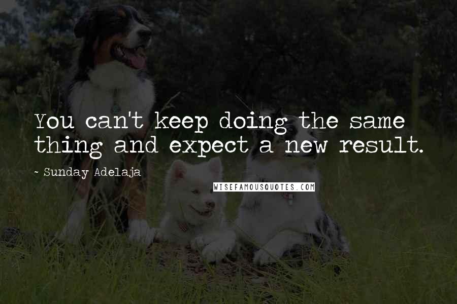 Sunday Adelaja Quotes: You can't keep doing the same thing and expect a new result.