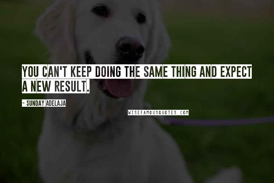 Sunday Adelaja Quotes: You can't keep doing the same thing and expect a new result.