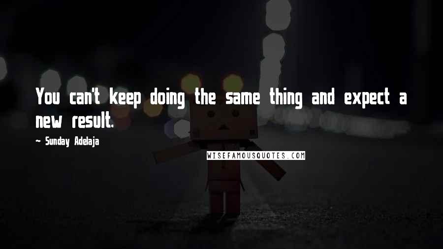 Sunday Adelaja Quotes: You can't keep doing the same thing and expect a new result.