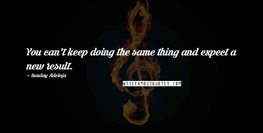 Sunday Adelaja Quotes: You can't keep doing the same thing and expect a new result.