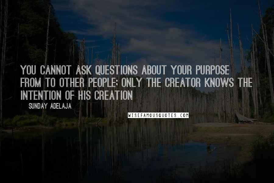 Sunday Adelaja Quotes: You cannot ask questions about your purpose from to other people; only the creator knows the intention of his creation