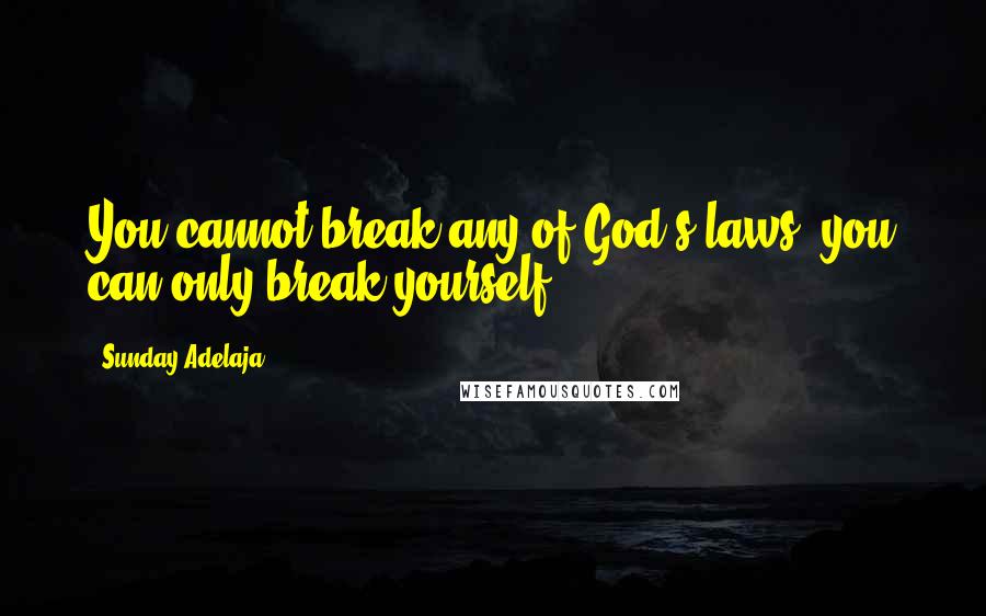Sunday Adelaja Quotes: You cannot break any of God's laws, you can only break yourself.
