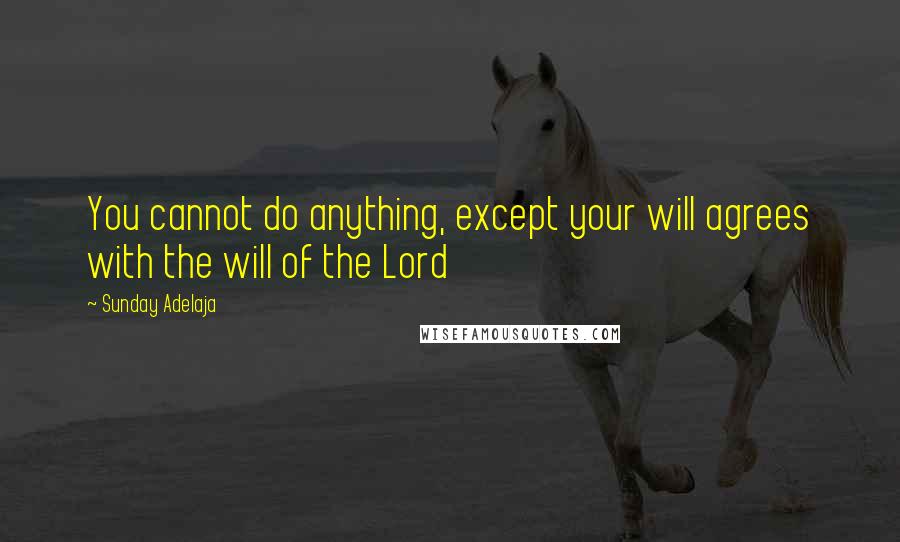 Sunday Adelaja Quotes: You cannot do anything, except your will agrees with the will of the Lord